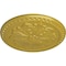 Ekena Millwork Emeryville Ceiling Medallion, Hand-Painted Rich Gold, 16 7/8"OD x 5/8"P CM16ERRGS - alternate 3